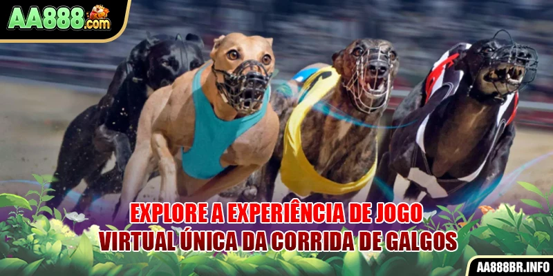 explore-a-experiencia-de-jogo-virtual-unica-da-corrida-de-galgos