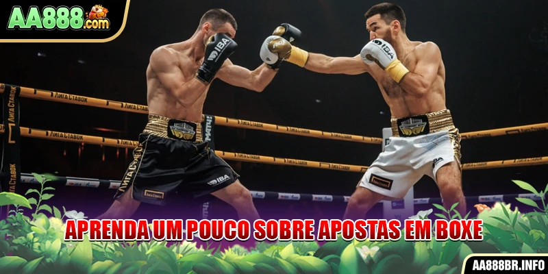 Aprenda um pouco sobre Apostas de boxe