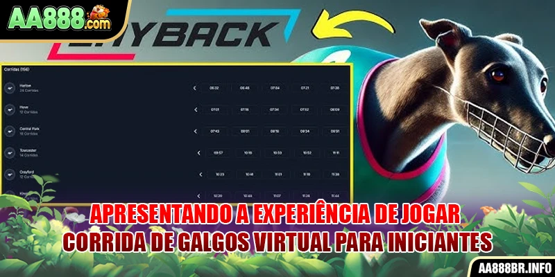 Apresentando a experiência de jogar Corrida de Galgos virtual para iniciantes