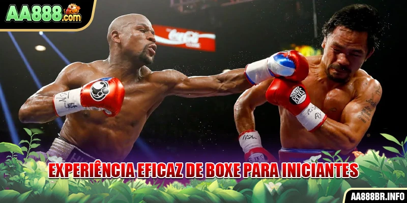 Experiência eficaz de boxe para iniciantes
