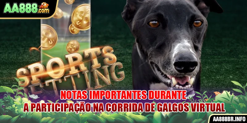 Notas importantes durante a participação na Corrida de Galgos virtual